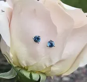 .60ctw Montana Sapphire Stud Earrings — ROGERS & CO. fine jewelry and design: Missoula, MT: Jewelry Store, Engagement Rings, Chalet Jewelers