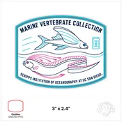UC San Diego | Scripps Oceanography - Marine Vertebrate Collection in White 3x2.4"