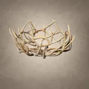 Antler Bowl Centerpiece