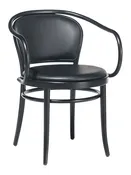 33 Armchair Upholstered