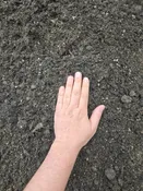 Garden Mix