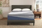 Molecule Reflex Embrace 12" Cushion Reflex