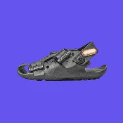 The Shoe That Grows