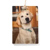 5 x 3.5 Wooden Ornament