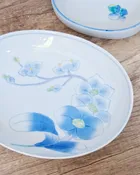 Arita ware Hand Draw 23.5cm Pasta Plate(Gift Box)