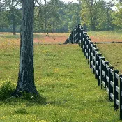 3-Rail Black With Electric Fence