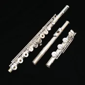 Amadeus 580 Flute by Haynes