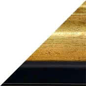 Frame MW00012998
