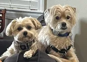 Contest - Cesar &amp;amp; Cam - Coletta