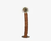 Joshua Tree