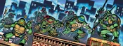 TMNT #300 SDCC 2026 Exclusive Variant- set of 4 Turtles.