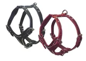 Adjustable Studded 2-Ply Latigo Harness