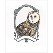 Barn Owl PRINT — lynn-oleum