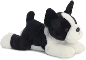12" Boston Terrier