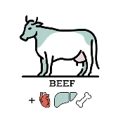 Beef Prey Model Raw (PMR)