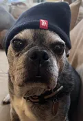This is Doug.  He's not for sale.