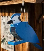 Bird Feeder - Blue Jay