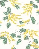 Acacia Flower Wallpaper