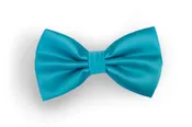 #119 Bow Tie