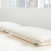 Avocado Molded Latex Pillow Standard