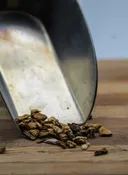 Angelica Root