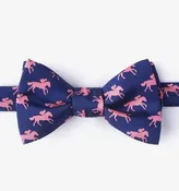 Photo Finish Silk Bowtie — Mr. Formal Wear