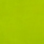 0680 Acid Green Half Yard