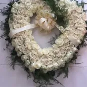 Open rose heart