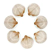 1970s Orange Shell Plates