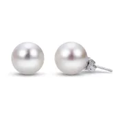 14k Gold AA Quality Freshwater Pearl Stud Earrings