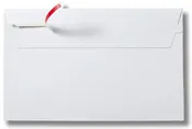 CardShell Mailers — Rigid Paperboard Trading Card Envelopes (Pack of 550)