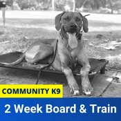 2 Week Board & Train – Community K9