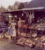 Autumn Harvest™