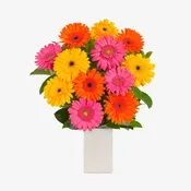 Pretty Purple