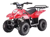 Taotao Boulder 110cc Youth ATV