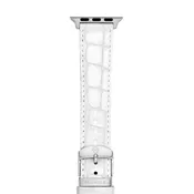 Apple Bracelet Band