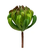 14" Succulent Pick