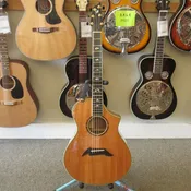 Breedlove C22/MH c.2004