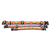 Colorado Rainbow Pride Flag Dog Collar