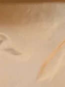 10499 Yamuna Burnt