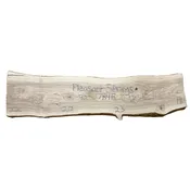 Ash Slab Pleasant Springs 784E — The Wood Cycle of Wisconsin