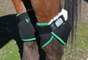 Click Hock Shield Ultra