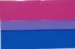 2"x3" Bisexual Pride Sticker