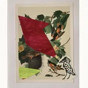 Baltimore Orioles with Intruder. — julieparker.com