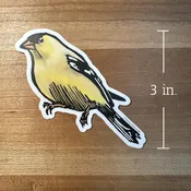 American Goldfinch STICKER — lynn-oleum