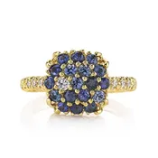 Blue Sapphire Cluster Ring — The Passdoor