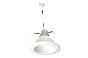 Downlight