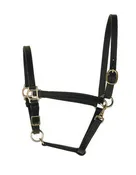 1" Leather Draft Turnout Halter