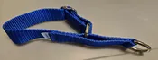 Collar – Alaskan 1″ Royal Small  CLEARANCE