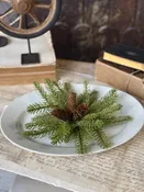 10" Arden Fir Minipiece